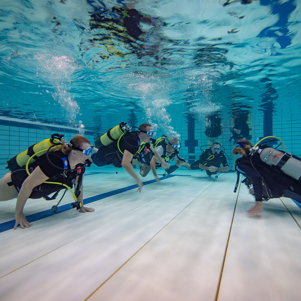 Opleidingen StartDuiken